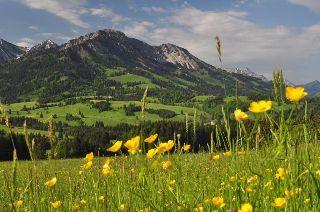 Sonnenpark, Ihr Bett Im Allgaeu Бад-Гінделанг Екстер'єр фото