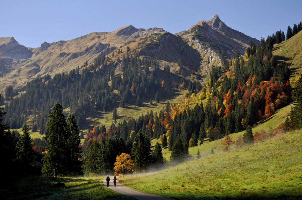 Sonnenpark, Ihr Bett Im Allgaeu Бад-Гінделанг Екстер'єр фото